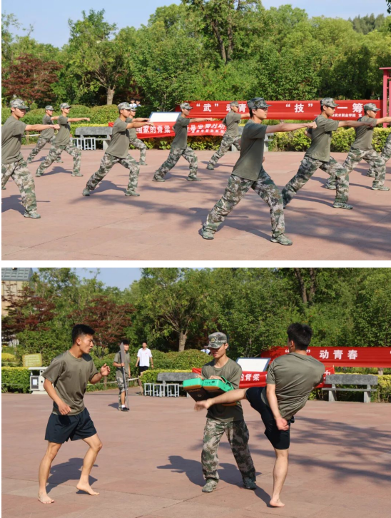 03a1a263fc2232495df140dedac6d29.png