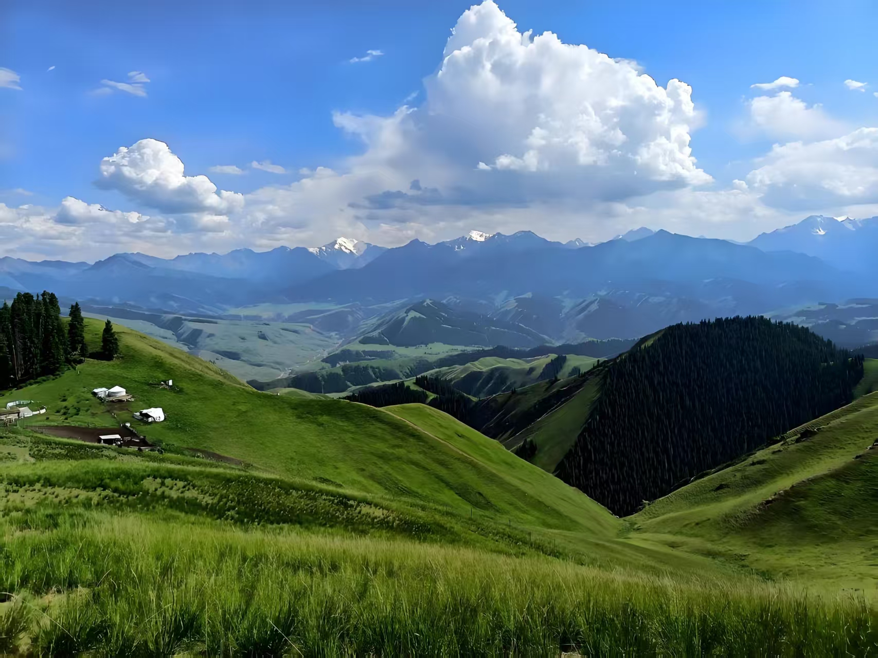 1774058710291278.jpg 1774058710291278.jpg